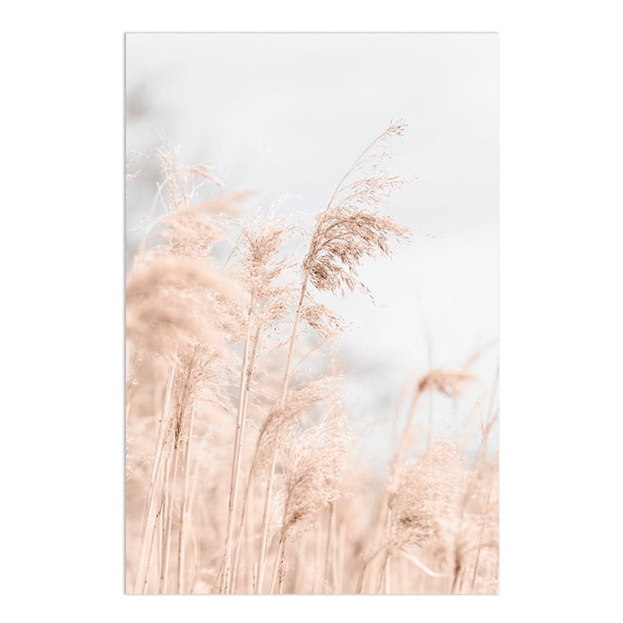 Grass Reed and Sky by Studio Scandi III
