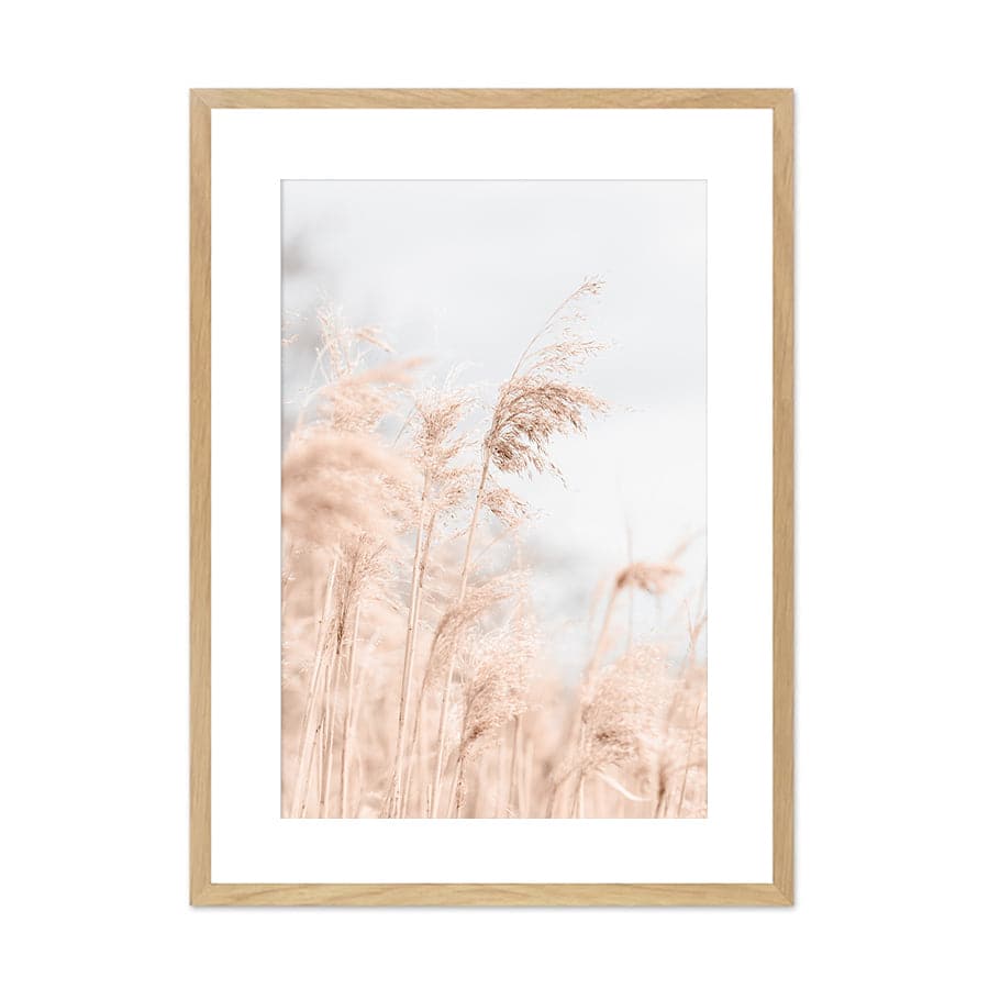 Grass Reed and Sky by Studio Scandi III