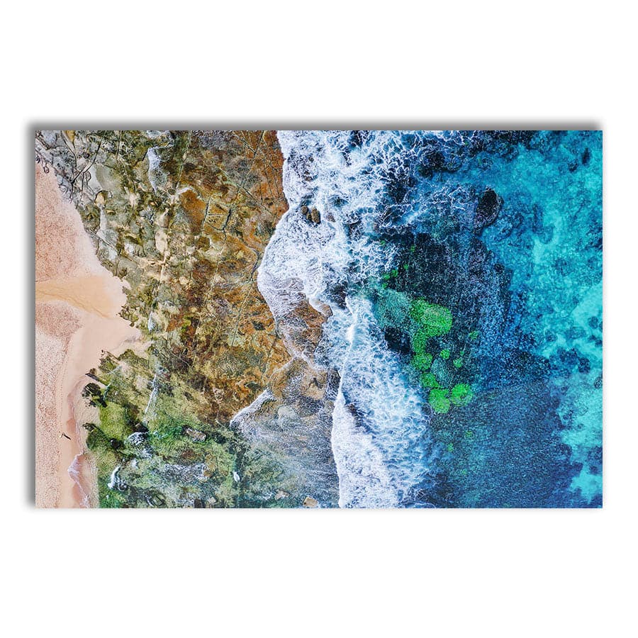 Stop and Smell The Ocean, Toowoon Bay by Beata Young
