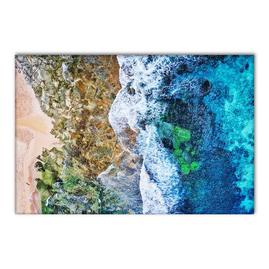 Stop and Smell The Ocean, Toowoon Bay by Beata Young