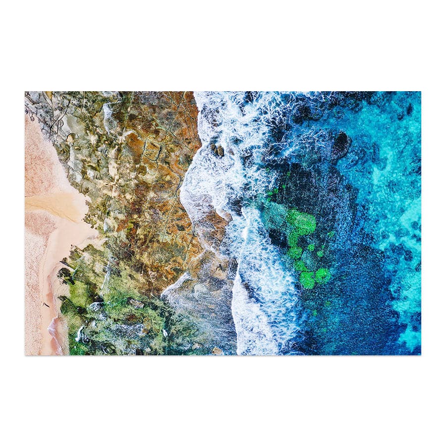 Stop and Smell The Ocean, Toowoon Bay by Beata Young