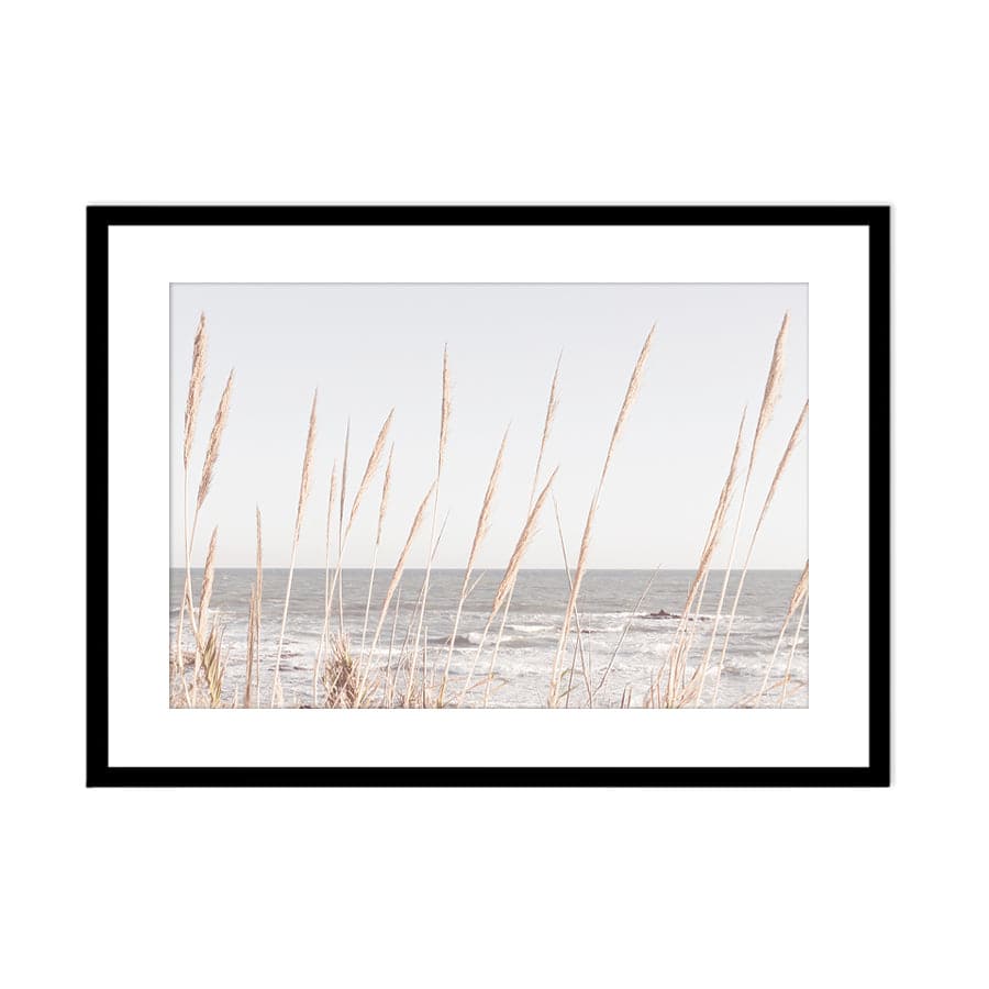 Beach Vass 002 by Studio Scandi III