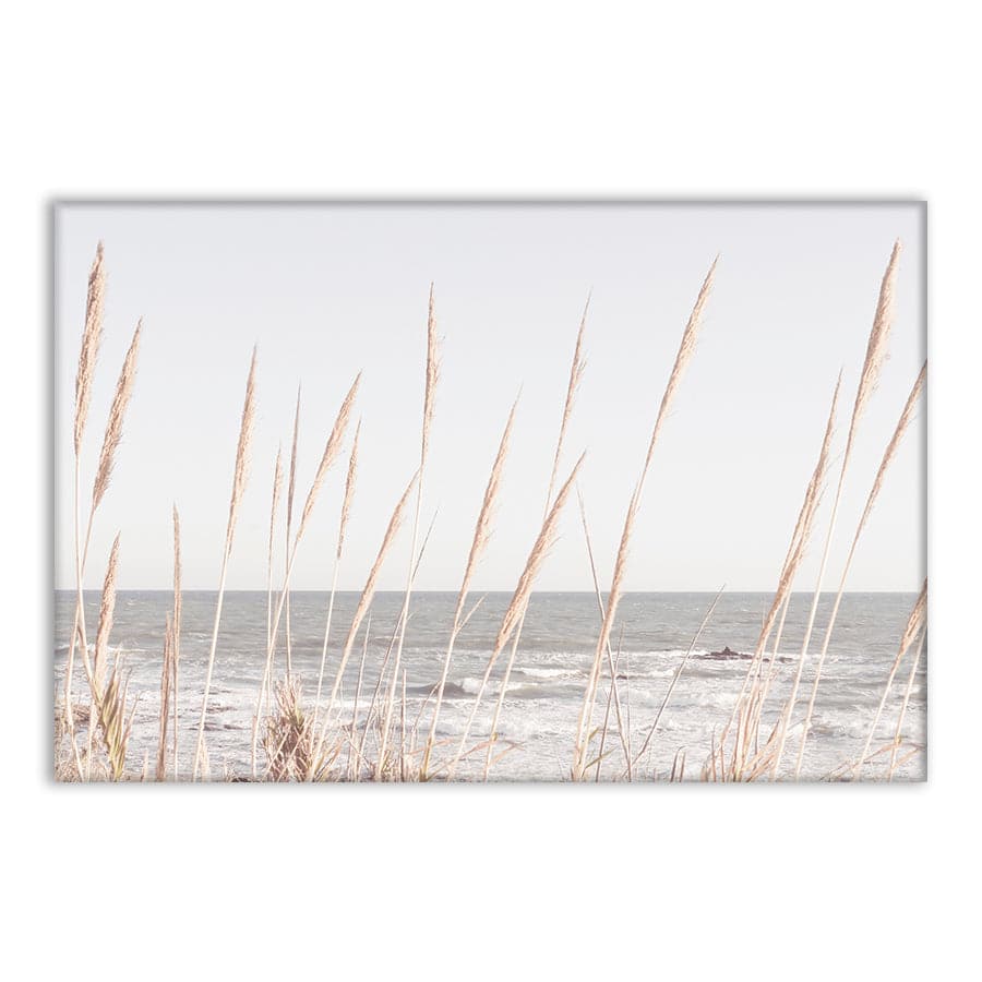 Beach Vass 002 by Studio Scandi III