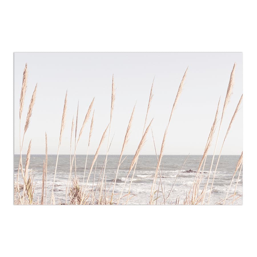 Beach Vass 002 by Studio Scandi III