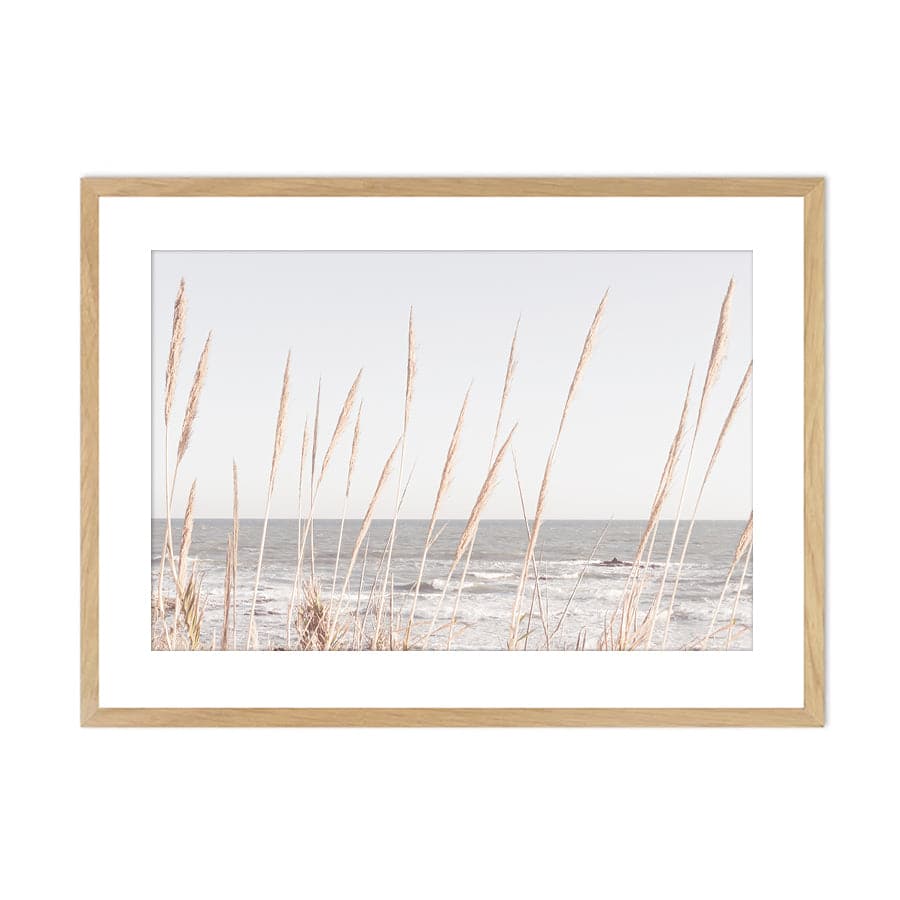 Beach Vass 002 by Studio Scandi III