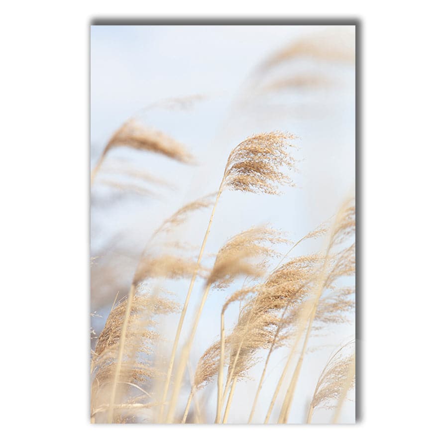 Grass Reed and Sky 2 by Studio Scandi III
