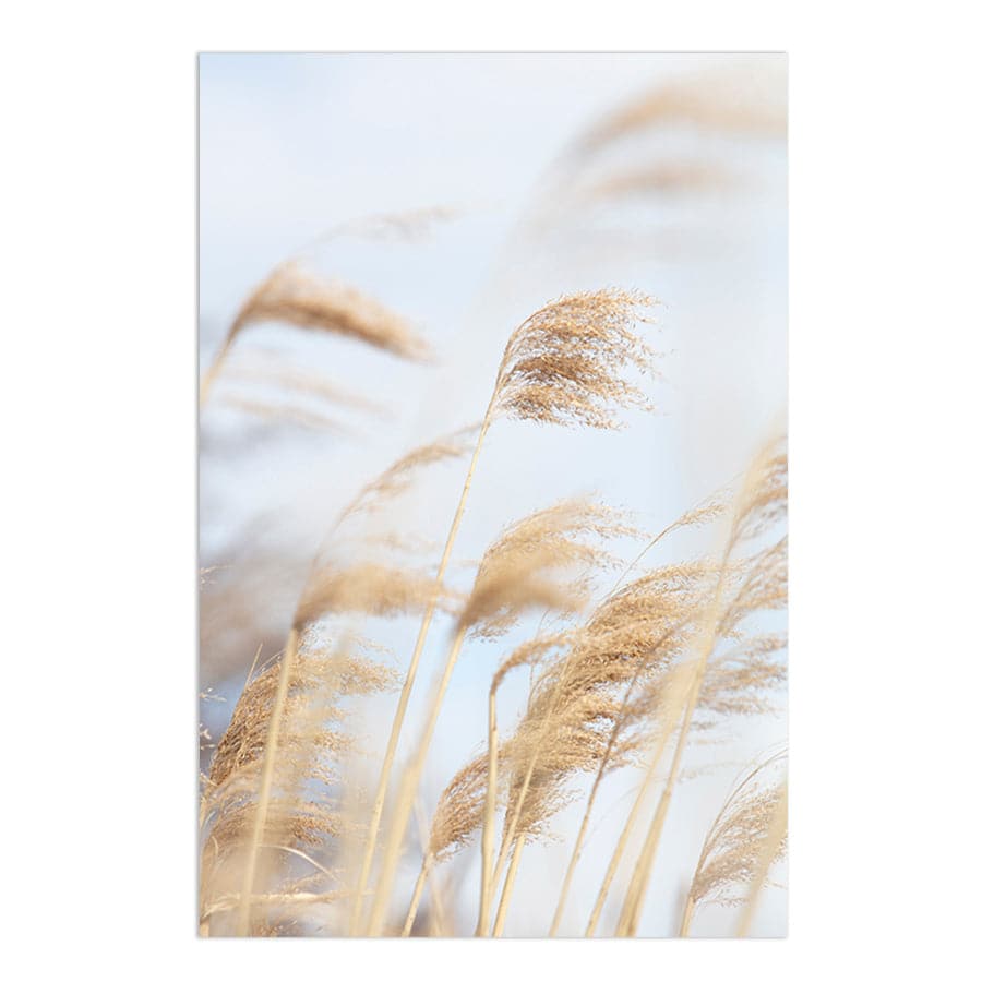Grass Reed and Sky 2 by Studio Scandi III