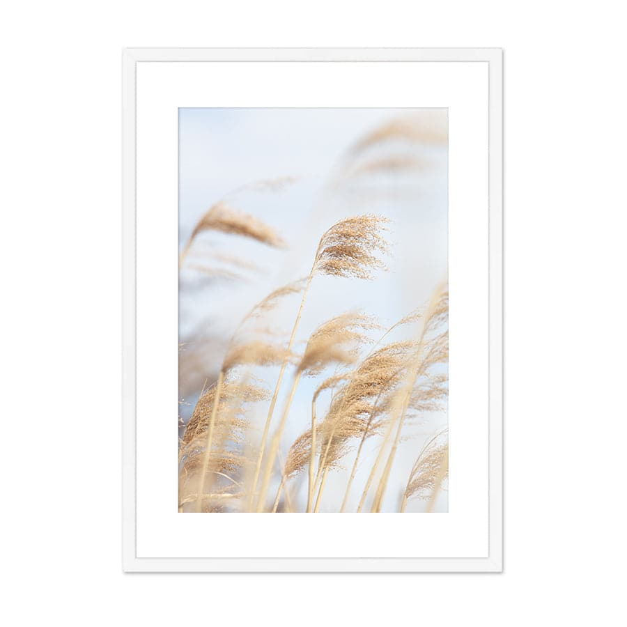 Grass Reed and Sky 2 by Studio Scandi III