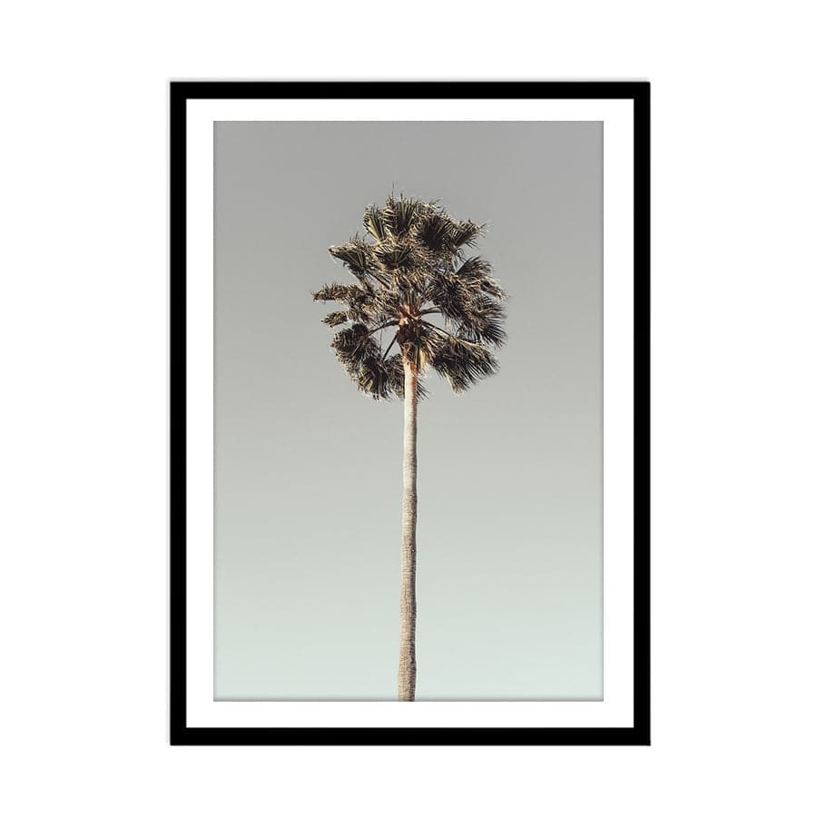 Palm 001  by Studio Scandi III