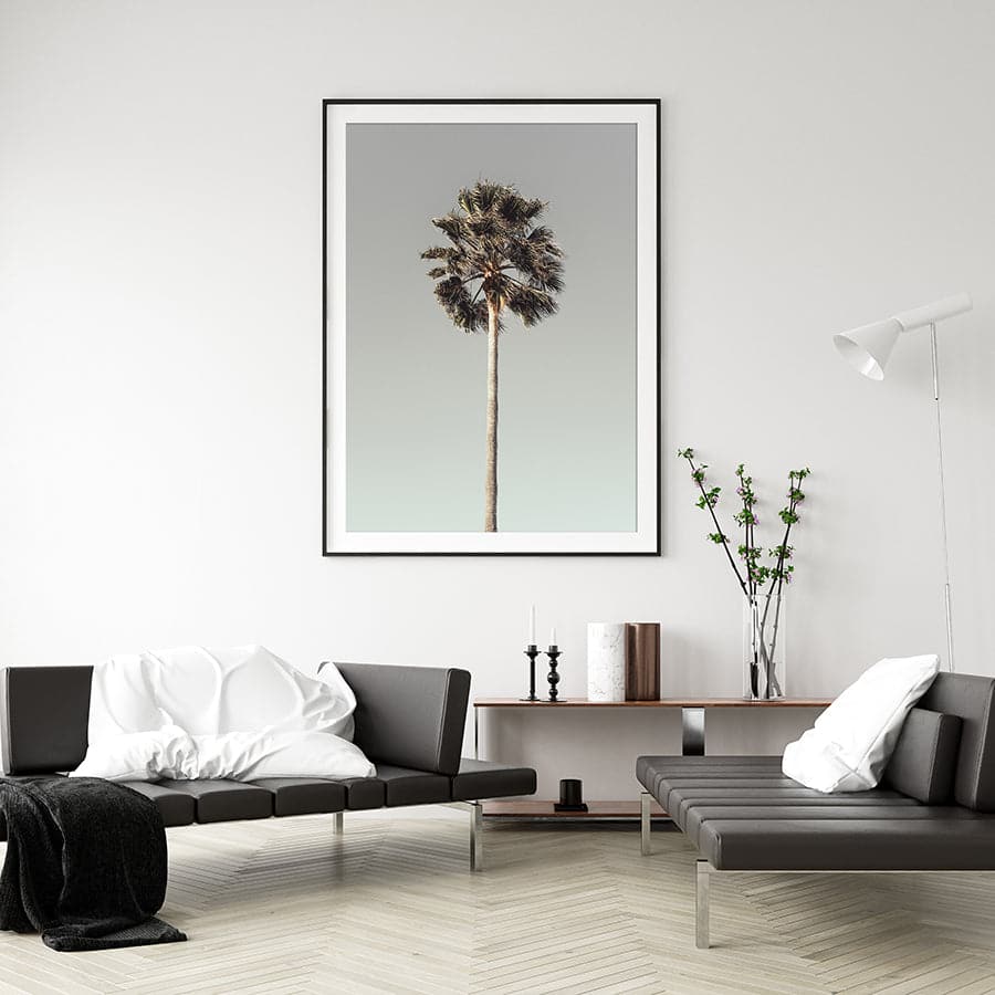 Palm 001  by Studio Scandi III