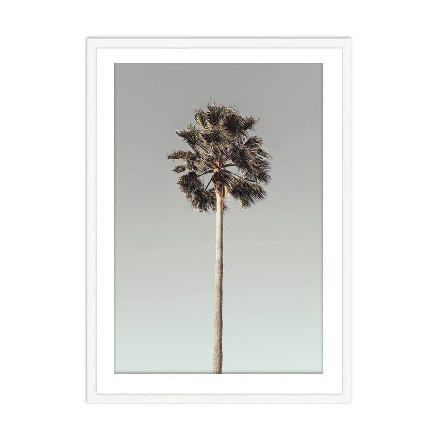 Palm 001  by Studio Scandi III
