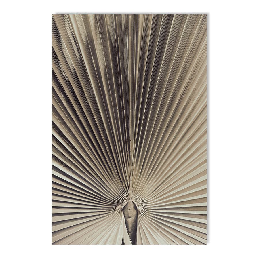 Palmblad 001 by Studio Scandi III