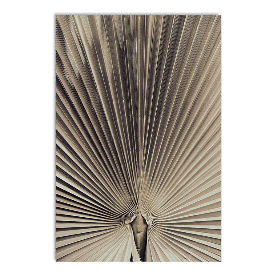 Palmblad 001 by Studio Scandi III