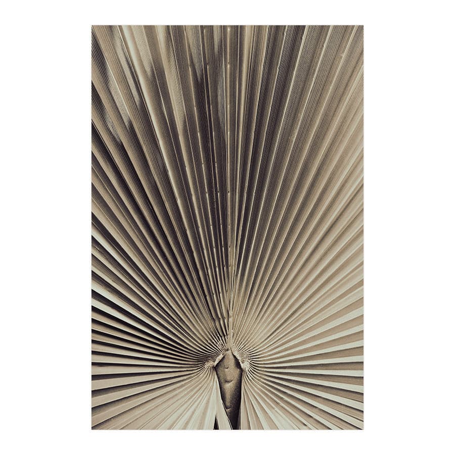 Palmblad 001 by Studio Scandi III