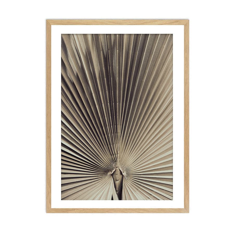 Palmblad 001 by Studio Scandi III