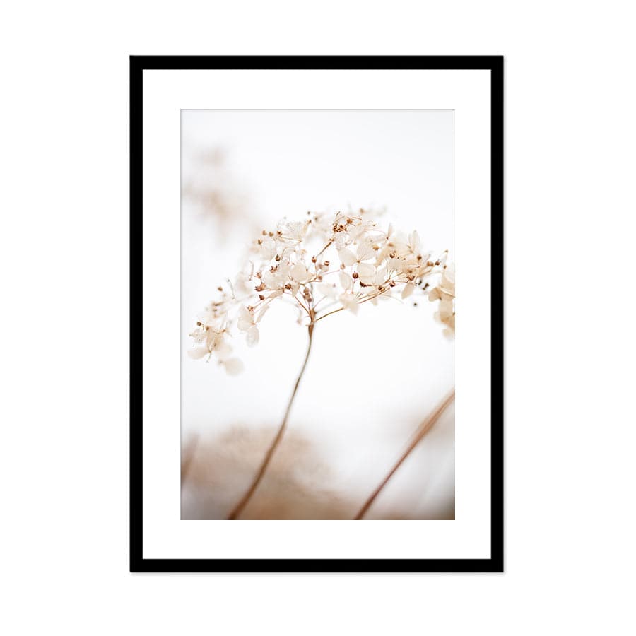 Soft Dried Flowers by Studio Scandi III