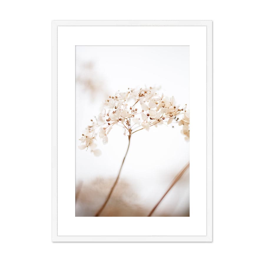 Soft Dried Flowers by Studio Scandi III