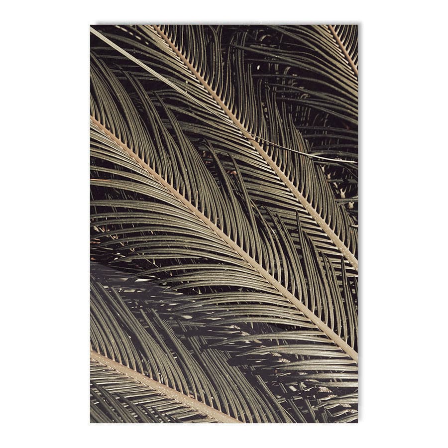 Palmblad 002 by Studio Scandi III