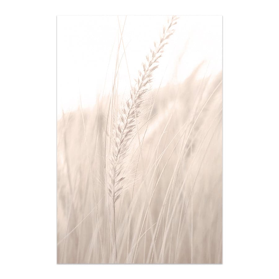 Grass 001 by Studio Scandi III