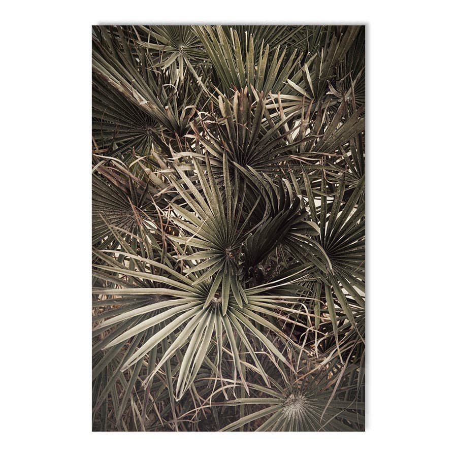 Palmblad 003 by Studio Scandi III