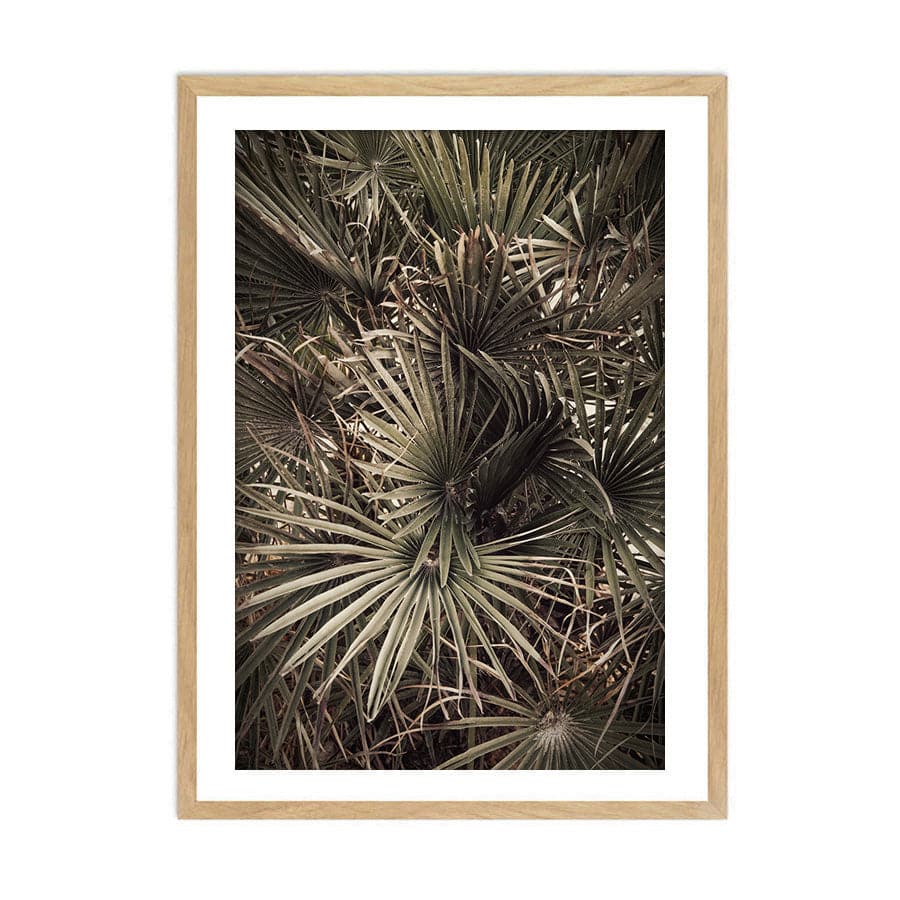 Palmblad 003 by Studio Scandi III