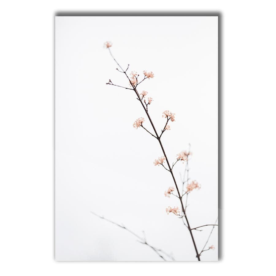 Twig with Small Flowers by Studio Scandi III