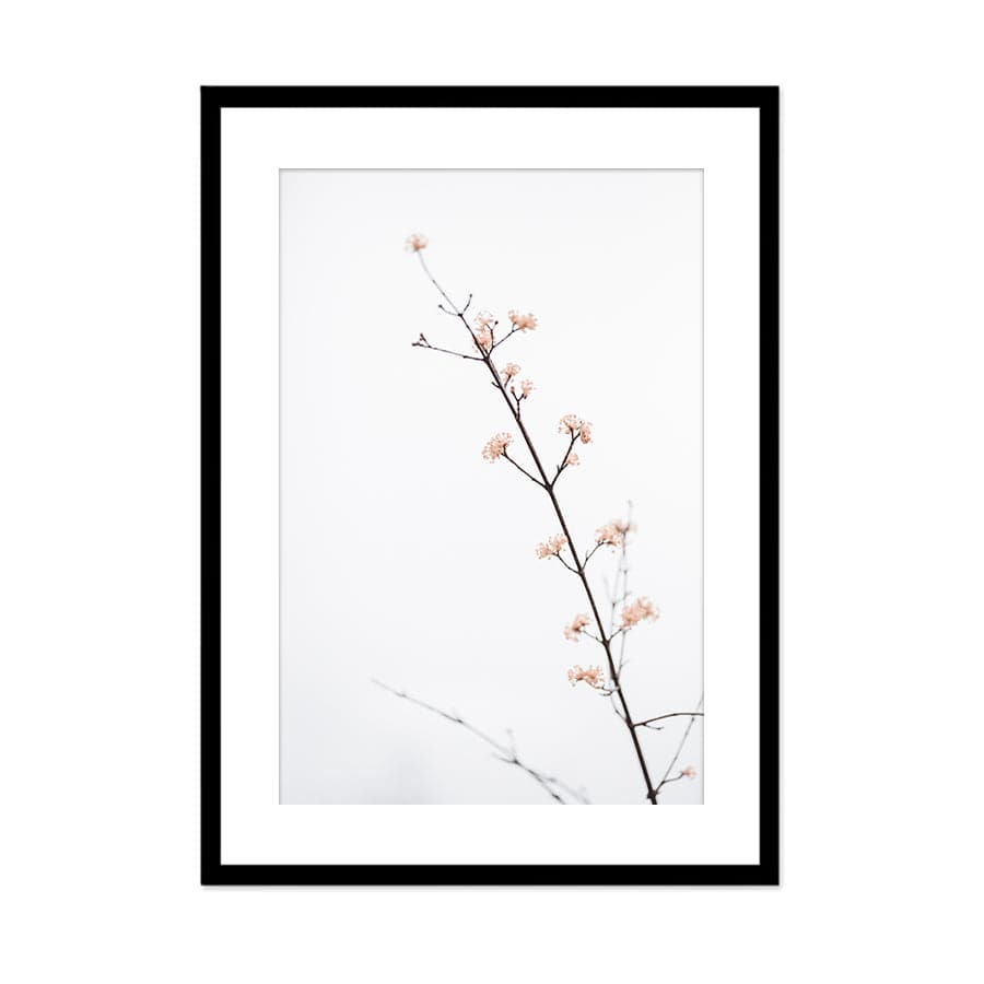 Twig with Small Flowers by Studio Scandi III