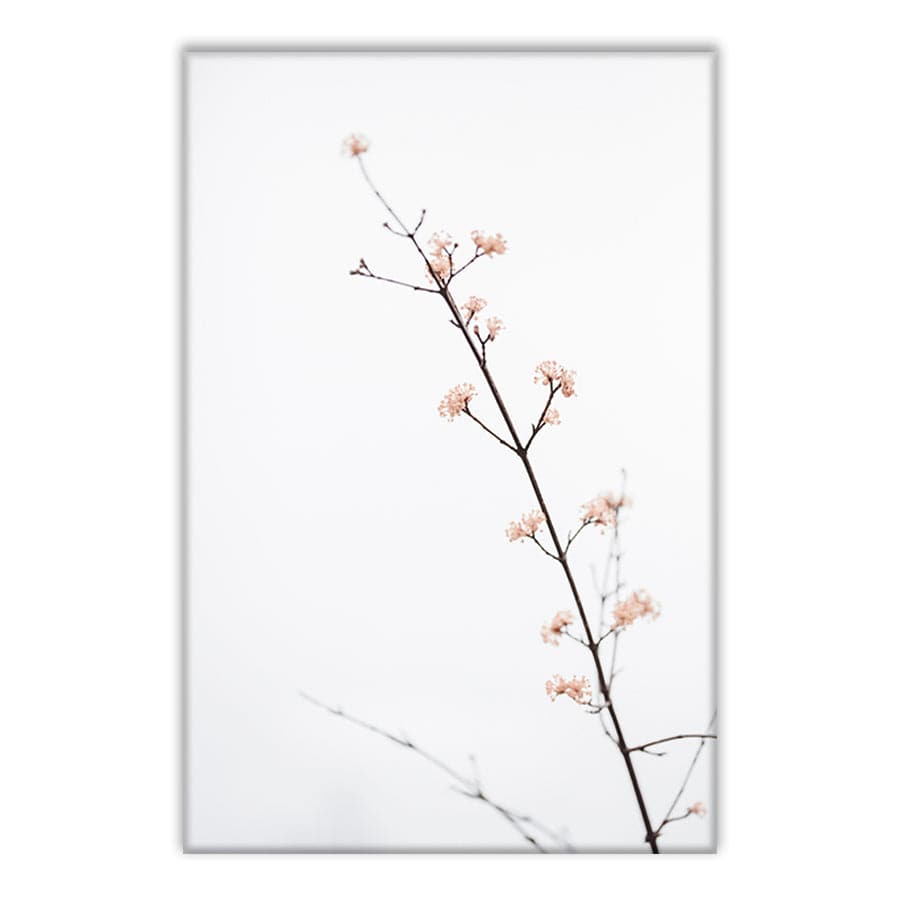 Twig with Small Flowers by Studio Scandi III