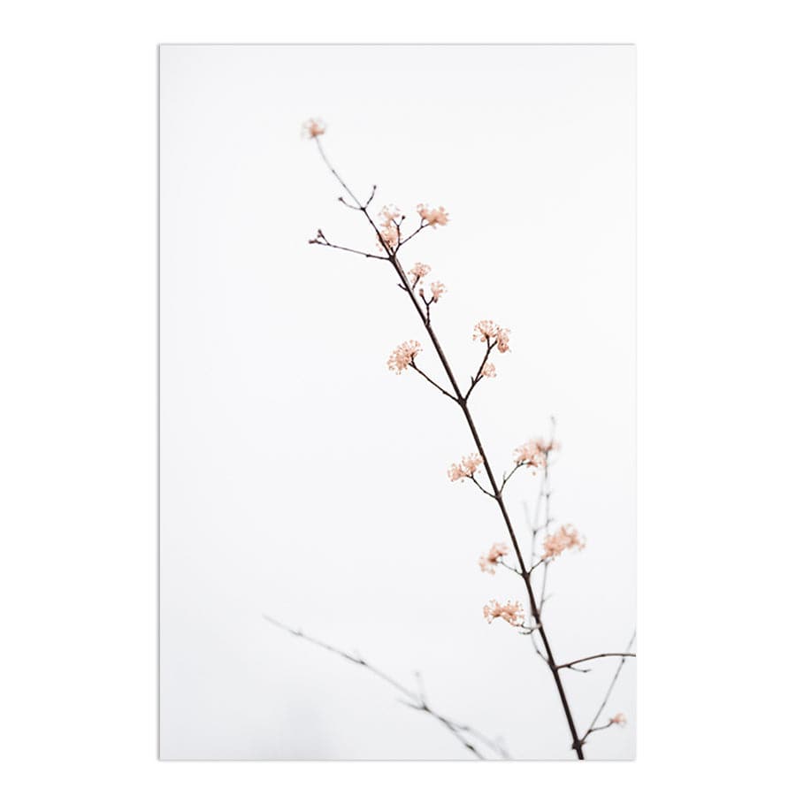 Twig with Small Flowers by Studio Scandi III
