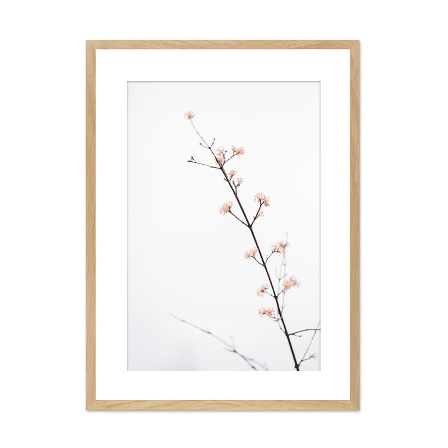 Twig with Small Flowers by Studio Scandi III