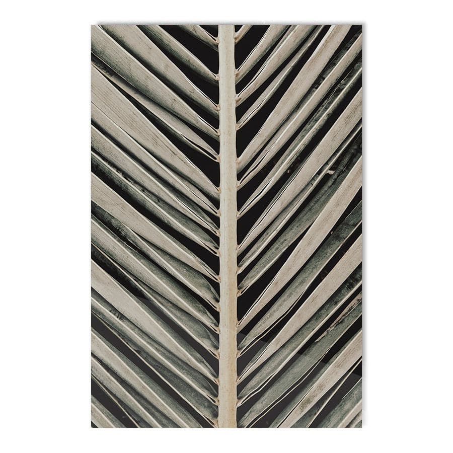 Palmblad 004 by Studio Scandi III
