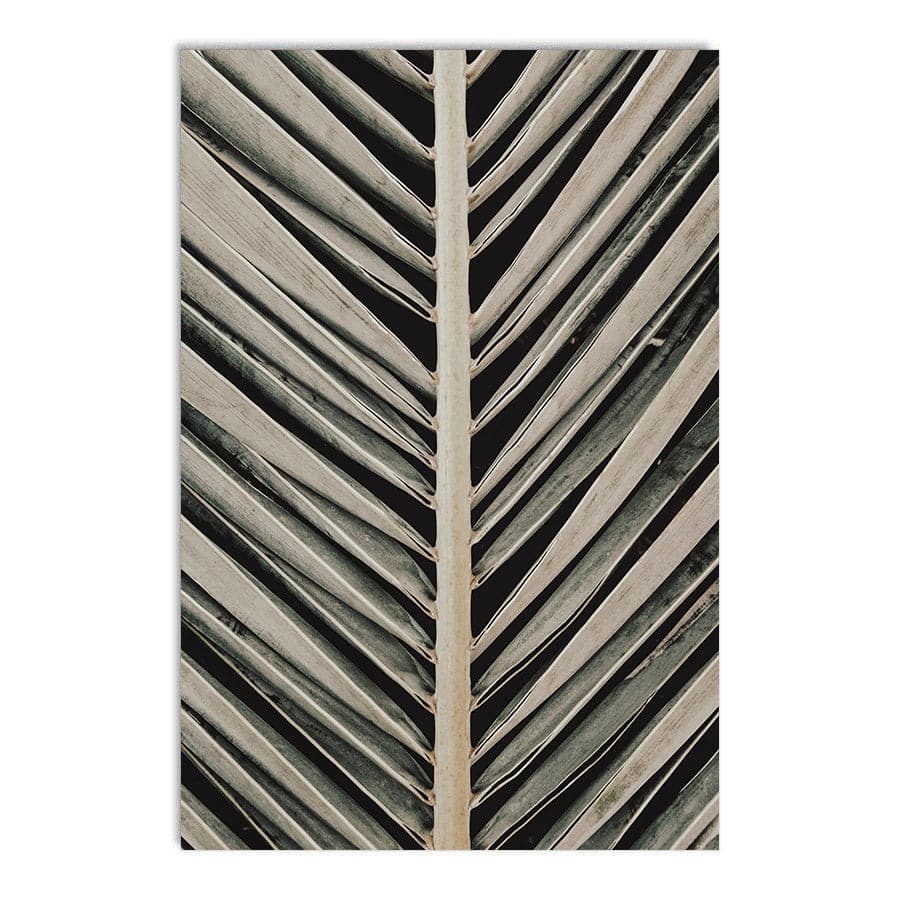 Palmblad 004 by Studio Scandi III