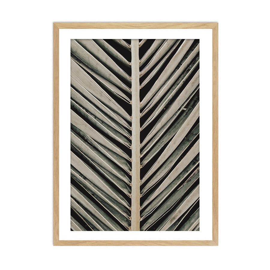 Palmblad 004 by Studio Scandi III
