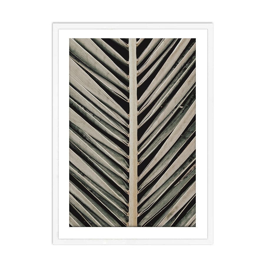 Palmblad 004 by Studio Scandi III