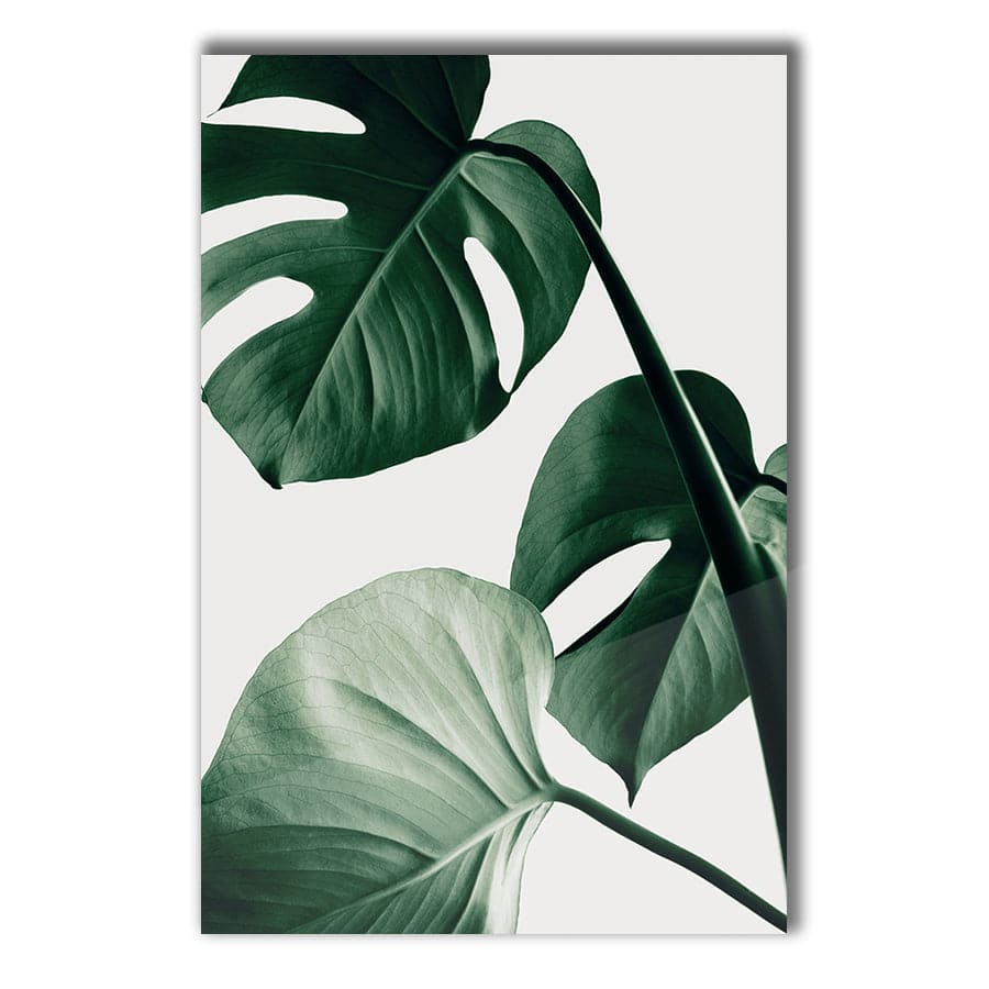 Monstera Natural 42 by Studio Scandi III