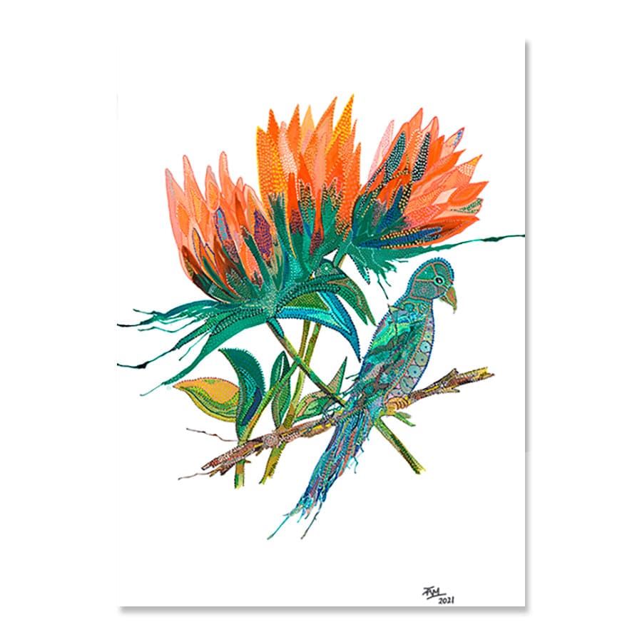 Wambina by Tracey Adele
