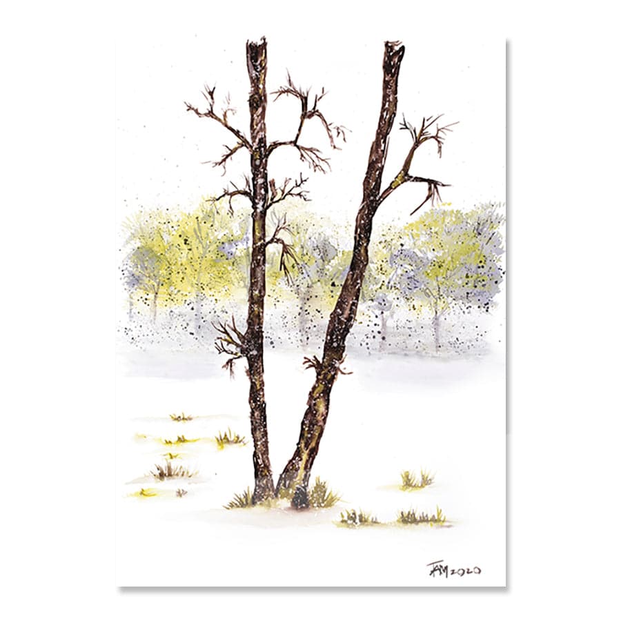 Soft Drift by Tracey Adele