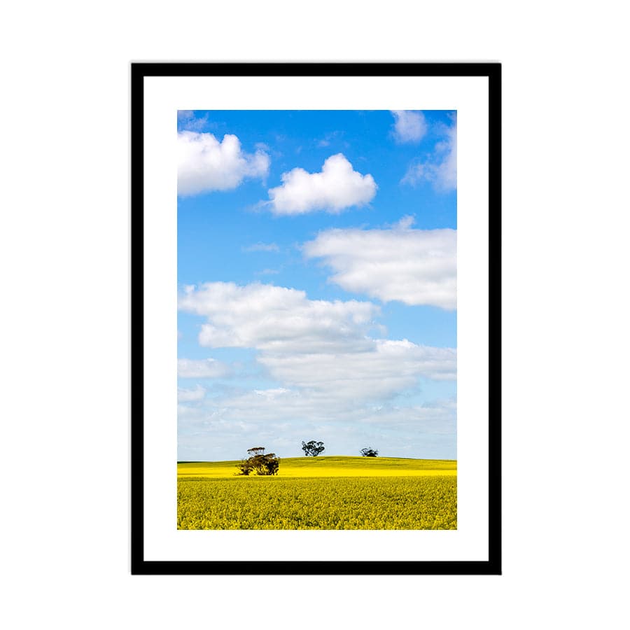 Golden Fields by Stuart McAndrew