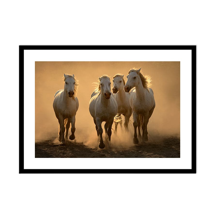 Quartet by Muriel Vekemans
