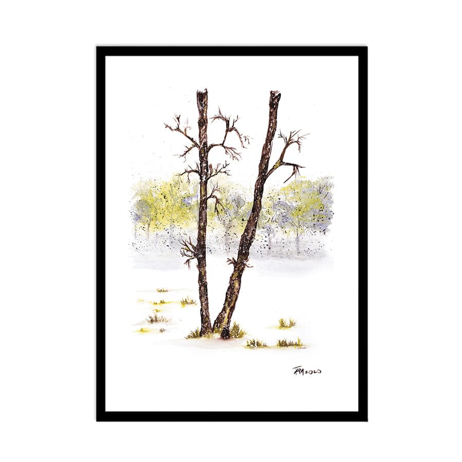 Soft Drift by Tracey Adele