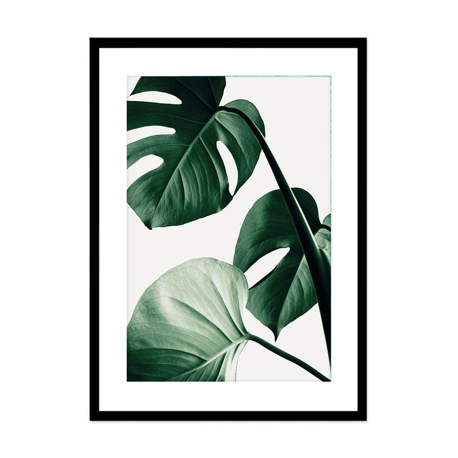 Monstera Natural 42 by Studio Scandi III