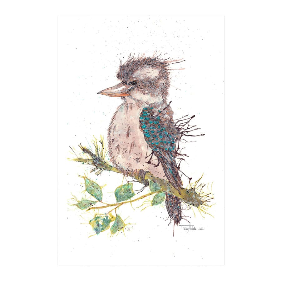 Bruce the Kookaburra by Tracey Adele