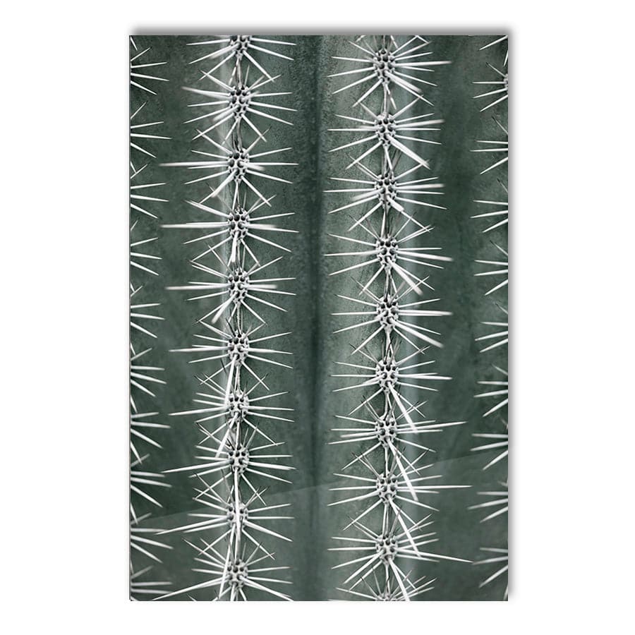 Cactus Green by Studio Scandi II