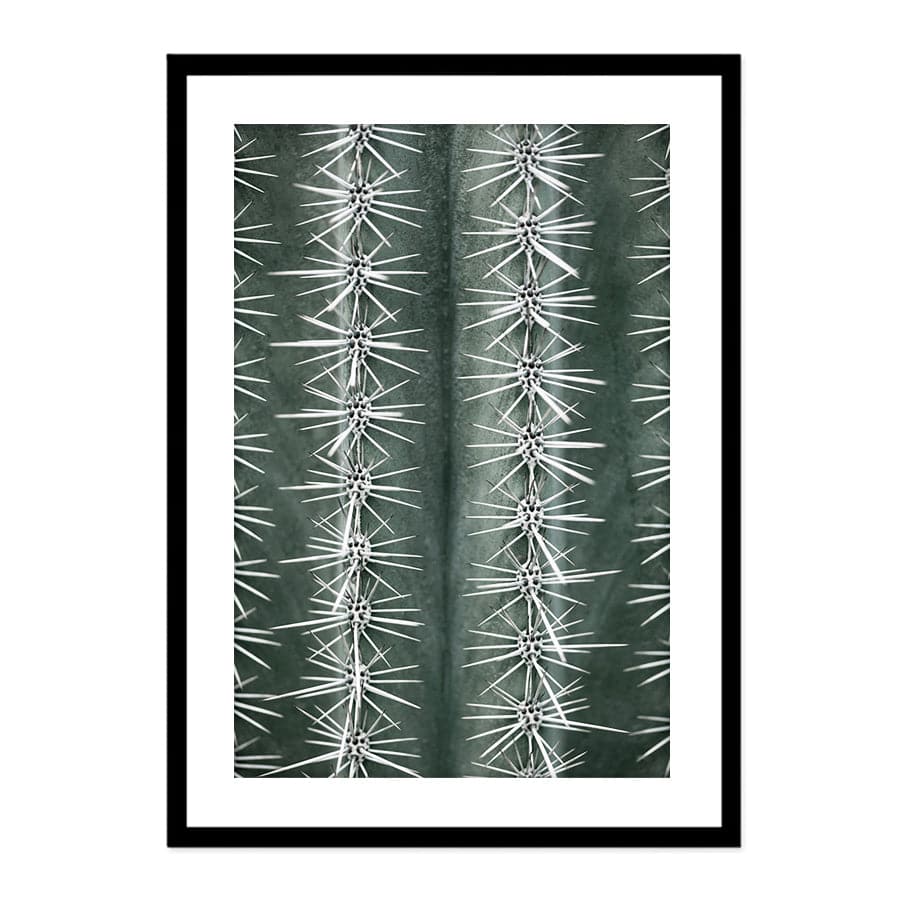 Cactus Green by Studio Scandi II
