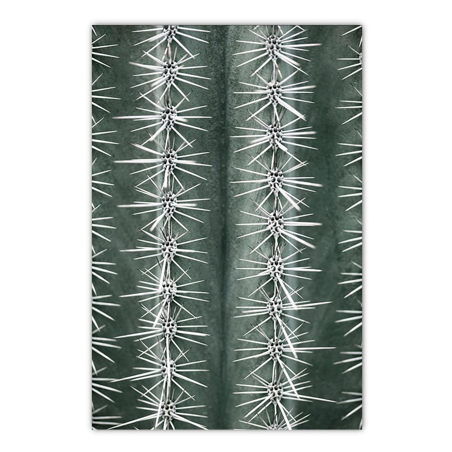 Cactus Green by Studio Scandi II