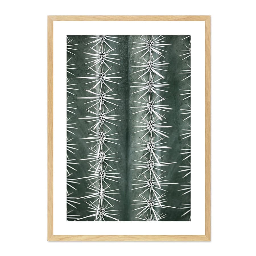 Cactus Green by Studio Scandi II