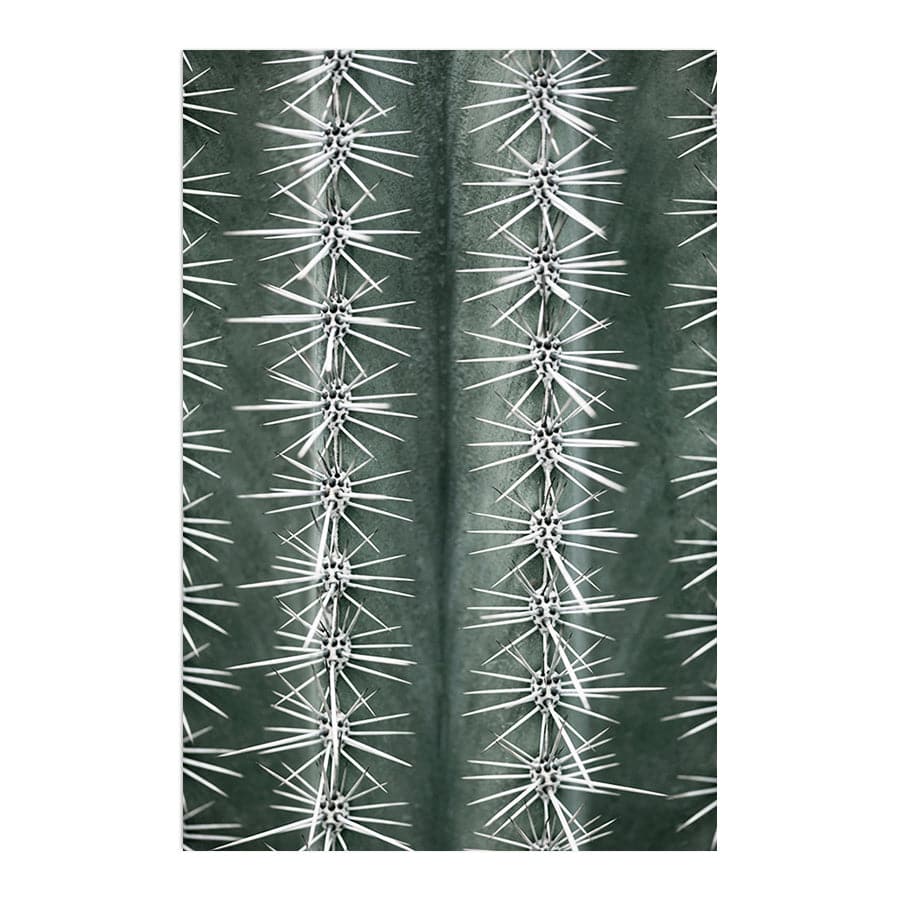 Cactus Green by Studio Scandi II