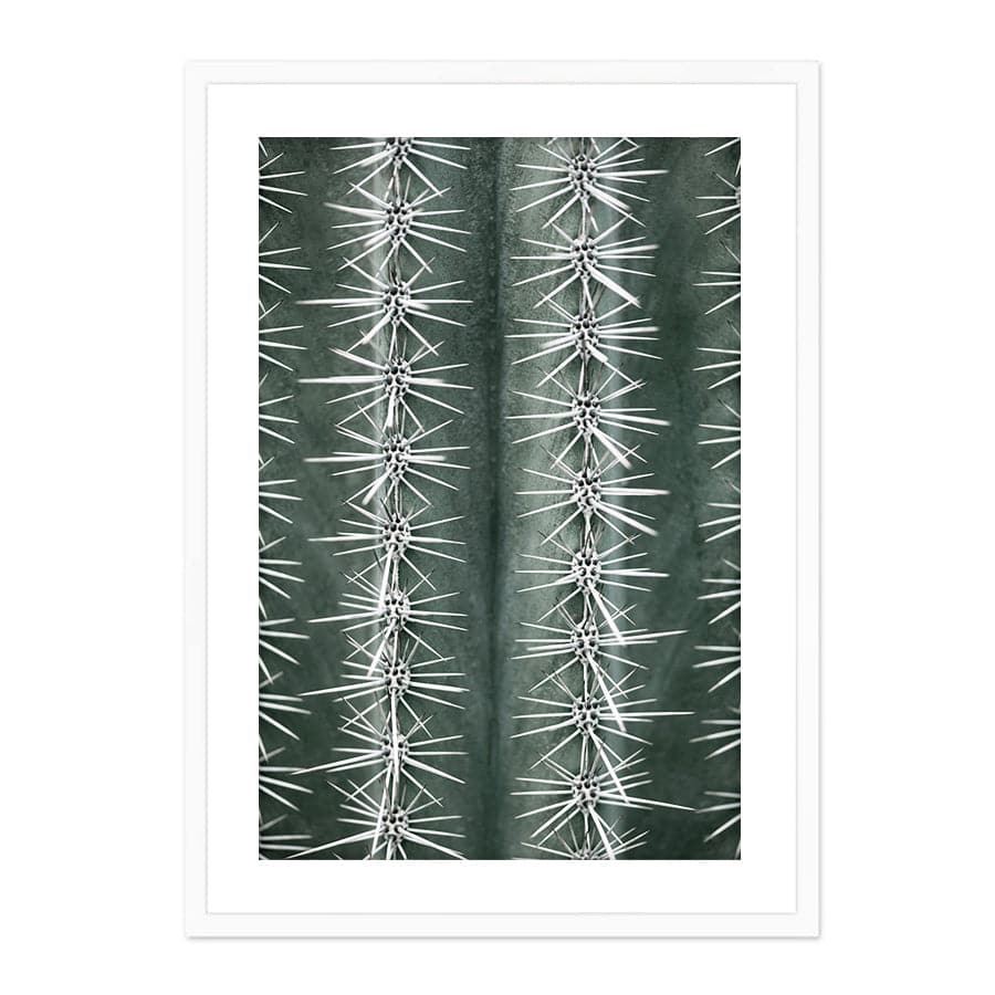 Cactus Green by Studio Scandi II