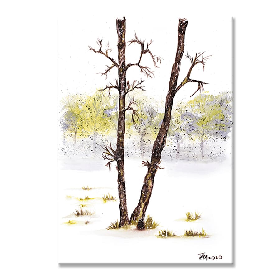 Soft Drift by Tracey Adele