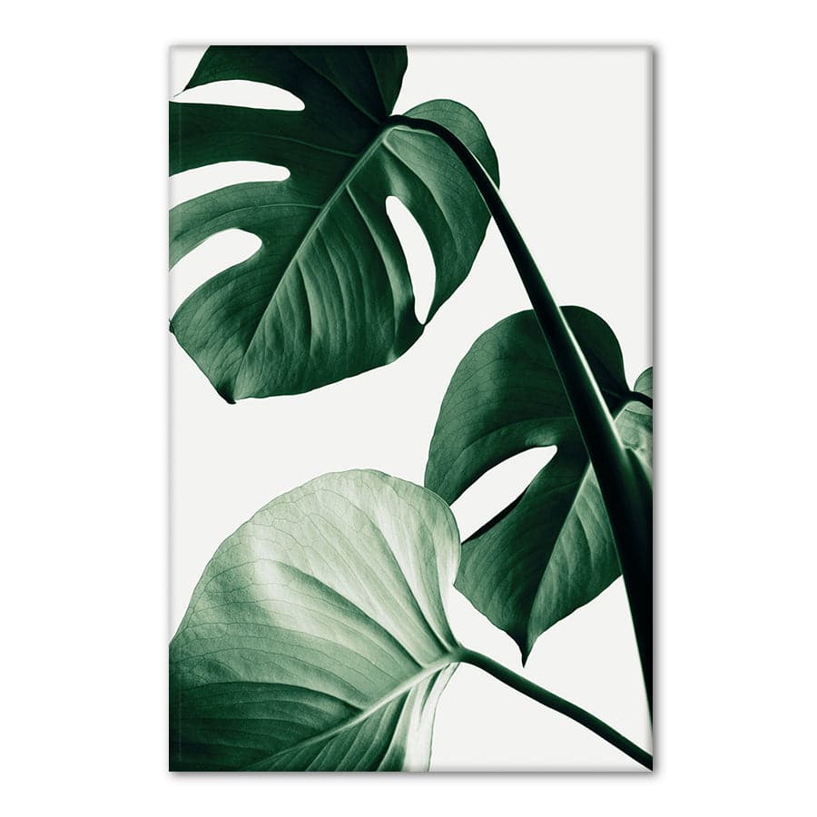 Monstera Natural 42 by Studio Scandi III